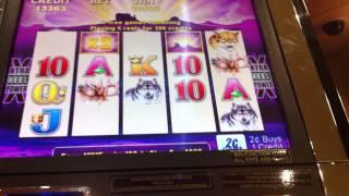 BUFFALO SLOT MACHINE MAX BET BONUS NICE WIN