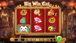 Big Win Cat