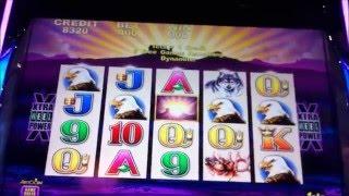 BUFFALO MAX BET $4 BACK TO BACK BONUS!