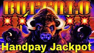 Handpay Jackpot  Buffalo Slot Machine Bonus MEGA BIG WIN. Live Play with Handpay Alert