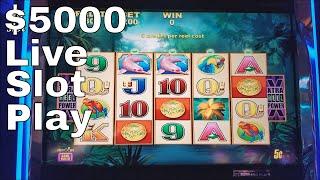 $5000 Live Slot Play