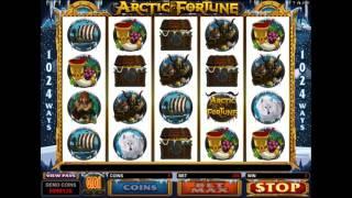 Arctic Fortune slot from Microgaming - Gameplay