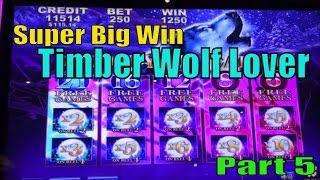 SUPER BIG WINTimber Wolf Lover Part 5Timber Wolf & Timber Wolf Deluxe Slot machine /$2~$2.50 Bet