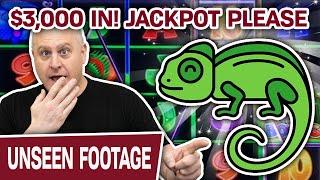 What Can I Hit with $3,000 on Crazy Chameleon?  JACKPOT Please?!