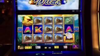 Birds of Pay Slot Machine Line Hit Caesars Casino Las Vegas