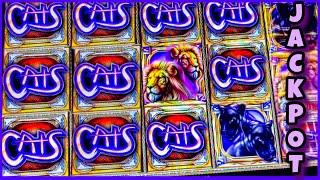 CATS SLOT HIGH LIMIT/ $60 BETS/ I GOT FREE GAMES AGAIN/ HUGE JACKPOT
