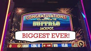 #HANDPAY #JACKPOT! LOOK AT THESE CRAZY NUMBERS! BUFFALO STAMPEDE & BUFFALO WONDER 4 JACKPOTS!