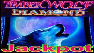 YAY ! JACKPOT ON THE MAX BET !!TIMBER WOLF DIAMOND Slot $225 Free Play $7.00 Max Bet栗スロ