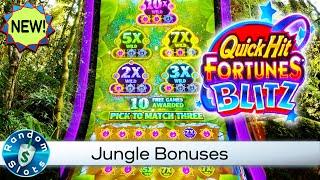 New️Quick Hit Fortunes Blitz Slot Machine Bonuses