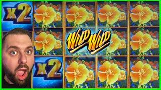 WILD WILD NUGGET CAN PAY HUGE!