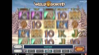 Play 'N Go - Wild North Video Slot