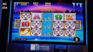 Loteria  Lock It Link Slot Bonus / Grand Dragon Slot Bonus / White Tiger Slot Bonus Won