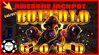 ️HIGH LIMIT Buffalo Gold HANDPAY JACKPOT ️$45 SPIN BONUS .25 Cent Denomination Slot Machine Casino