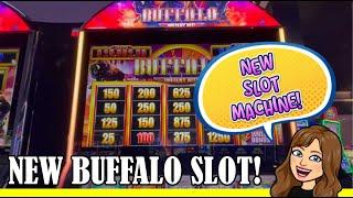 NEW Buffalo Instant Hit!  Fun New Slot Machine!