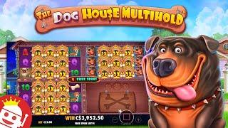 THE DOG HOUSE MULTIHOLD  COMMUNITY MEMBER LANDS 9000X MAX WIN!