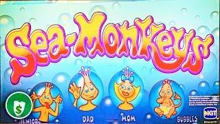 Sea Monkeys slot machine, bonus