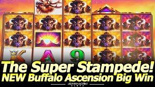 Super Stampede MEGA BIG WIN! NEW Buffalo Ascension Slot Machine! 30 Minutes of Pain, 1 Minute of Joy