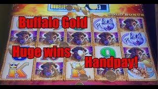 Buffalo Gold: Huge Win, Jackpot HANDPAY and more!!
