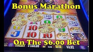 Buffalo Gold | Big Win Session | $3.00 & $6.00 Betting - Come On Bonuses