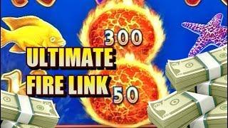 ️️Ultimate Fire Link: Live Play and Bonus Collection w/ BIG WINS!️️