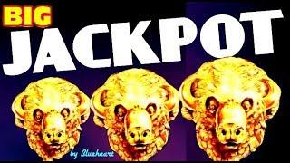 • WOW! •  BUFFALO GOLD slot machine JACKPOT HANDPAY WIN! (15 Gold heads collected)