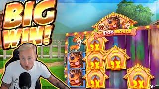 BIG WIN!!! Dog House BIG WIN!! Casino Slot from CasinoDaddy Live Stream