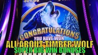 ALL ABOUT TIMBER WOLF (SUPER BIG WIN ONLY)Timber Wolf LoverTimber Wolf/Deluxe/Grand Slot Bonuses