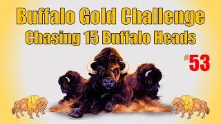 Buffalo Gold Challenge - Chasing 15 Buffalo Heads #53