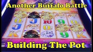 Buffalo Gold | Four Coin Bonus...Finally | What a Struggle