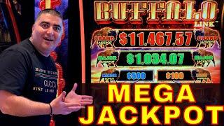 My LARGEST JACKPOT On Buffalo Link Slot Machine - Almost GRAND JACKPOT