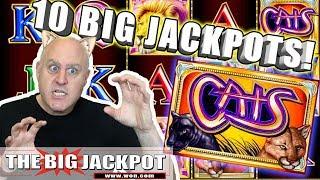 10 BIG Jackpots on Cats 5 Free Games BONU$ WIN! | The Big Jackpot