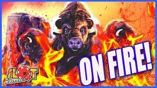 CALL THE FIRE DEPARTMENT!   BUFFALO IS ON FIRE!  | Slot Traveler