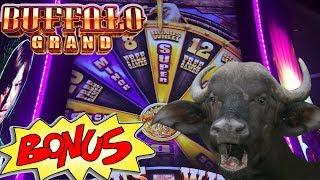 Buffalo Grand max bet $3.75 with BONUS and FREE SPINS! Live Play Slot Machine