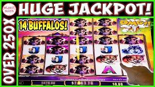 OMG HUGE JACKPOT OVER 250X! WITH ONLY $200 BUFFALO ASCENSION SLOT MACHINE