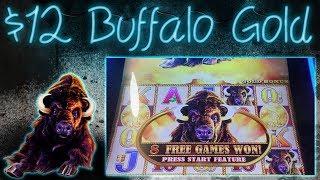 $12 Buffalo Gold Jackpot!   Hardrock Hotel & Casino lounge