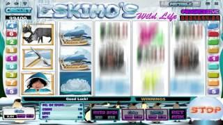 Eskimo's Wild Life online slot by iSoftBet | Slototzilla video preview