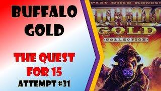 OMG!!! - The Quest for 15 - Buffalo Gold Attempt #31