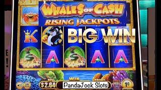 Big Win on Whales of Cash, Rising Jackpots