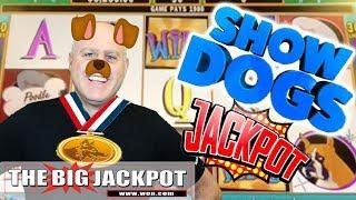 Show Dogs Best In Show JACKPOT! ️Twin Win 2 Fun | The Big Jackpot