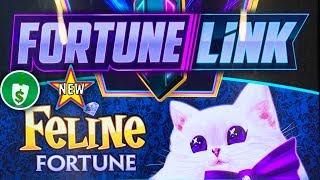 ️ New - Fortune Link Feline Fortune, bonus