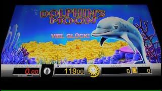 Dolphins Moon Risikospiel auf 2€ Fach! Zocken in der Hoffnung das die Freispiele Einlaufen! Merkur