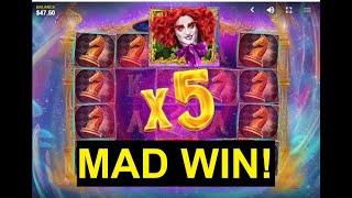 AMAZING WIN! *NEW GAME* The Wild Hatter
