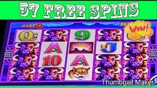 I CAN'T BELIEVE I GOT 57 SPINS ON BUFFALO  DELUXE WONDER 4 SLOTS