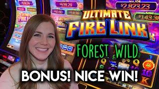 NEW Ultimate Fire Link Forest Wild Slot Machine! Nice BONUS WIN!