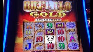 It’s not always about the buffalo. Buffalo Gold