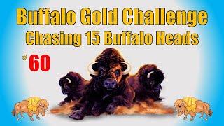 Buffalo Gold Challenge - Chasing 15 Buffalo Heads #60