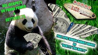 Celebration Dance for BIG Jackpots on Panda Power & Butterfly 7's | The Big Jackpot