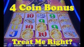 Buffalo Gold | The 4 Coin Bonus is Always a Mystery