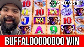 BIG WIN ON BUFFALO GOLD | Las Vegas Strip | NorCal Slot Guy