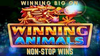 NON STOP WINNING!  WINNING ANIMALS SLOT MACHINE by KONAMI  PALA CASINO